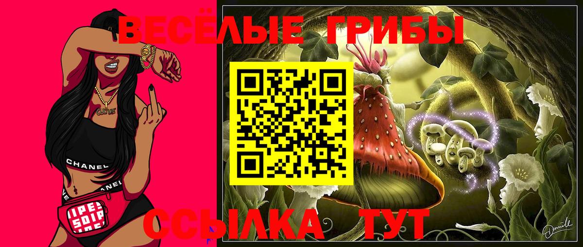 Псилоцибиновые грибы GOLDEN TEACHER Кирово-Чепецк